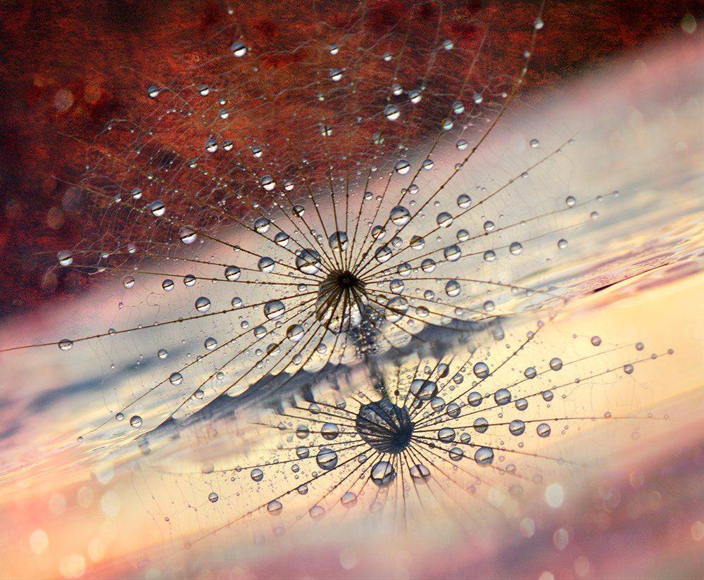 , Таня  Маркова