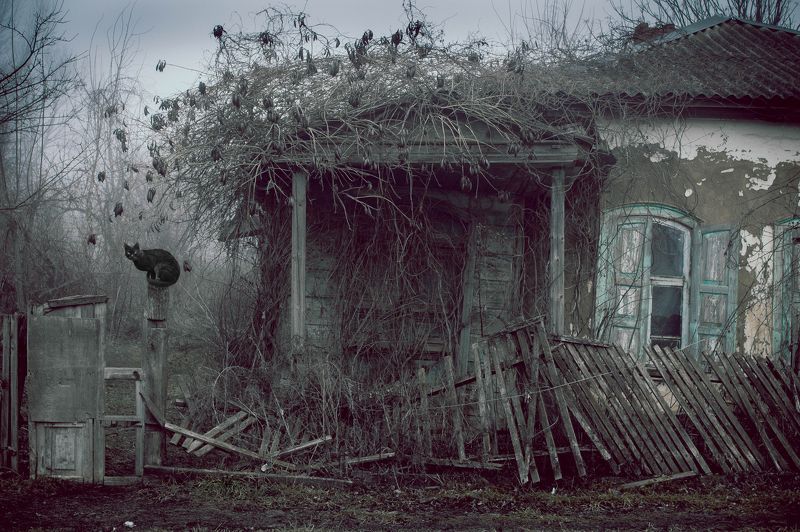 Aleksey Skubskiy, Russia [TOP100 2015]
