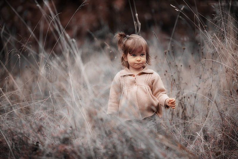 дети Autumnphoto preview