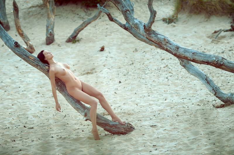 Abandoned placephoto preview