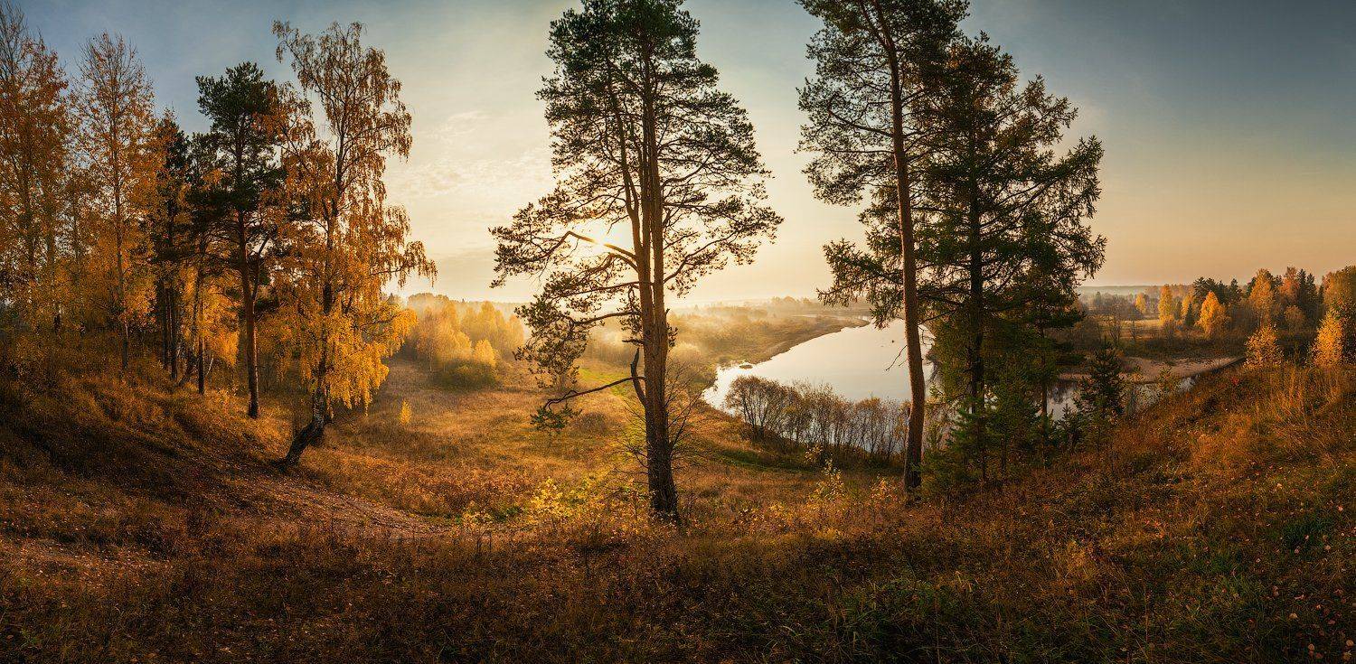 пейзаж,рассвет,туман,солнце,вода,река,лес,деревья,осень,свет,лучи,трава,небо, Виталий Истомин
