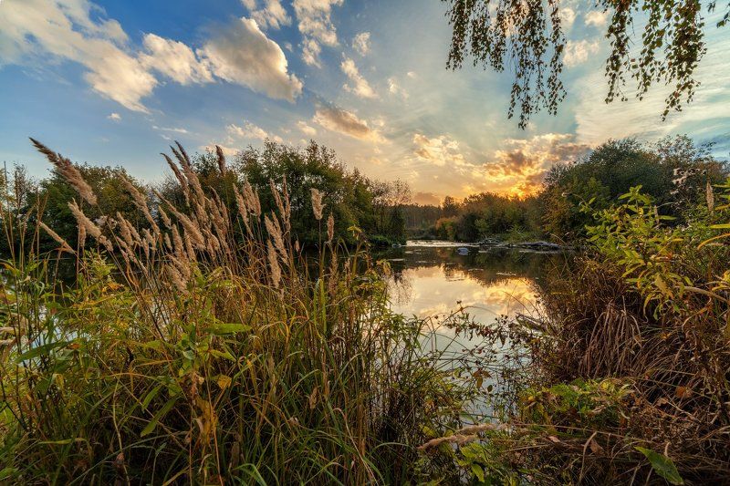 осень Осень Жариковой дачиphoto preview