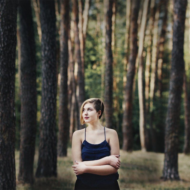 The Woodsphoto preview