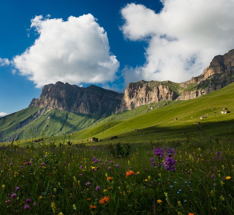 Кирилл Брага, Russia