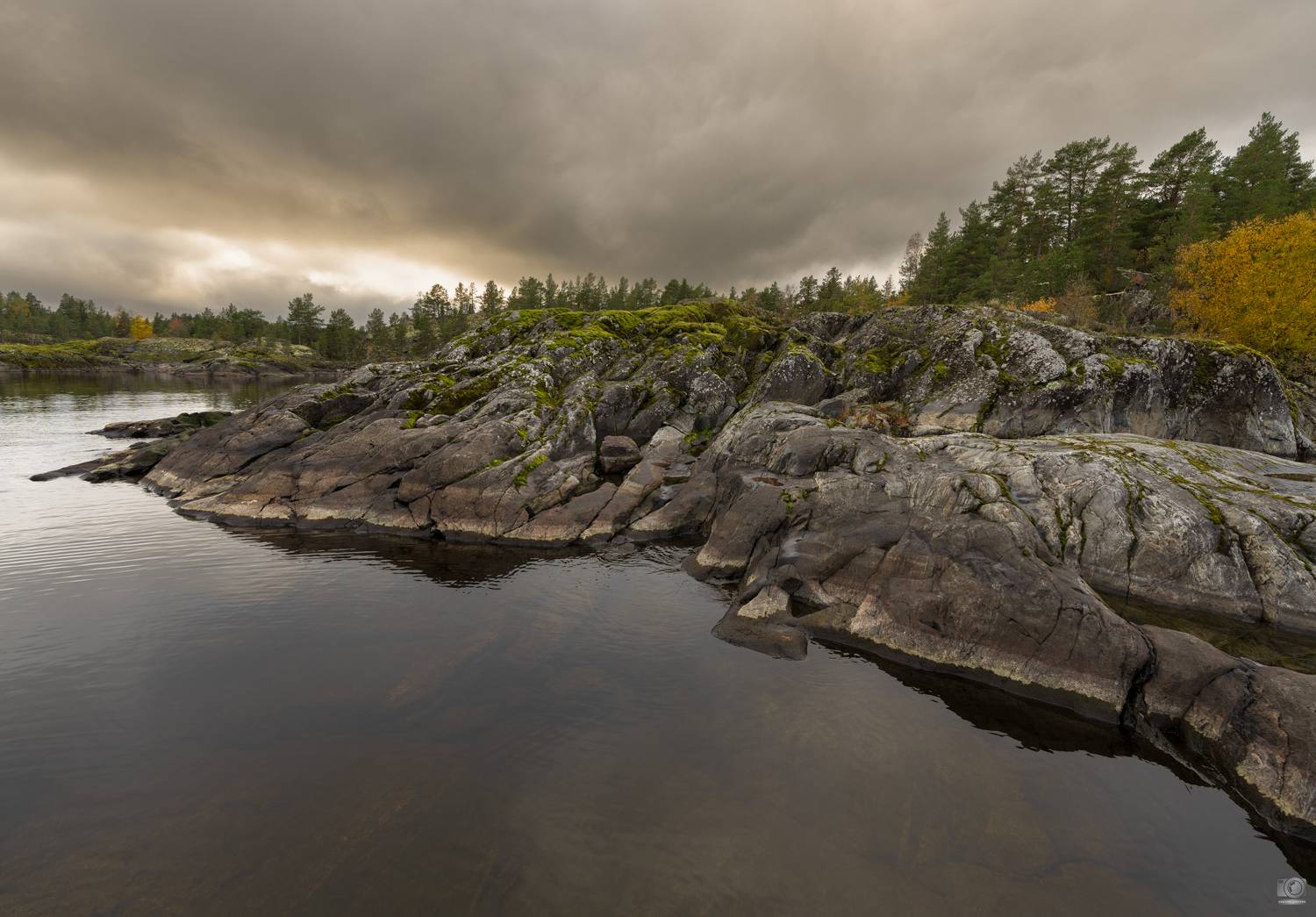 , Ковалев Дмитрий