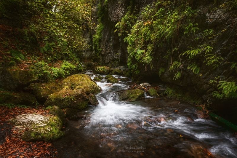 ущелье, река, лето, пейзаж, ручей Река Лошхиphoto preview