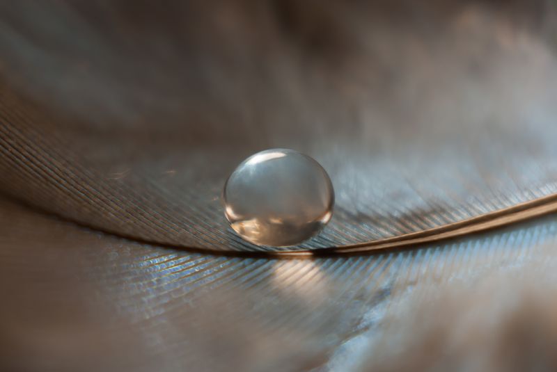 Жемчужинаphoto preview