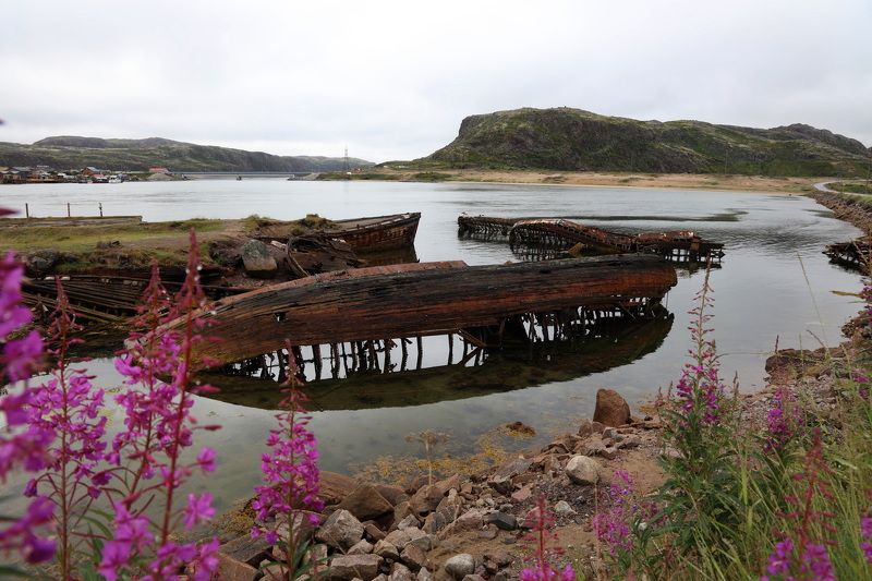 Териберкаphoto preview