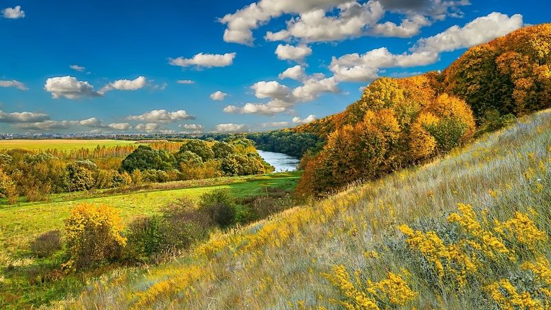 осень, октябрь, ливны, быстрая сосна, Река Быстрая Сосна. Октябрь. фото превью