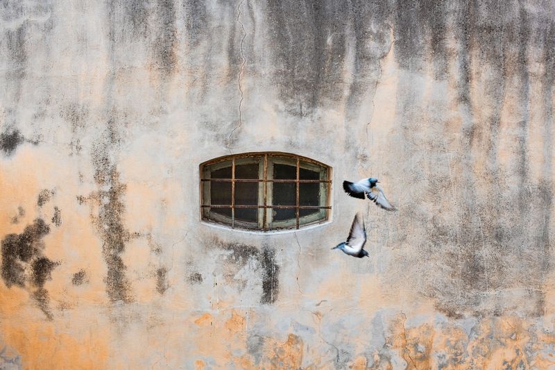 FREEDOM TWOphoto preview