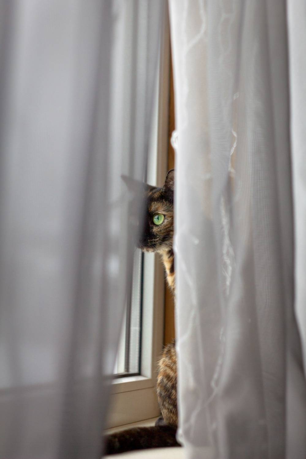 , Сергей Фаренюк