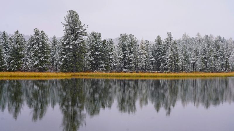 Алтай, Сибирь, Россия Отражениеphoto preview