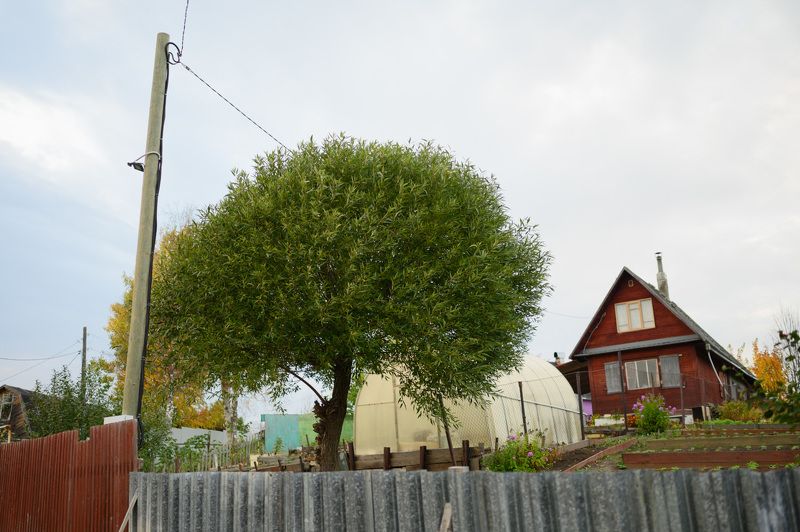 кудьма, дачи, осень, Кудьма в сентябреphoto preview