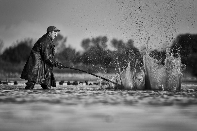 From the catchphoto preview