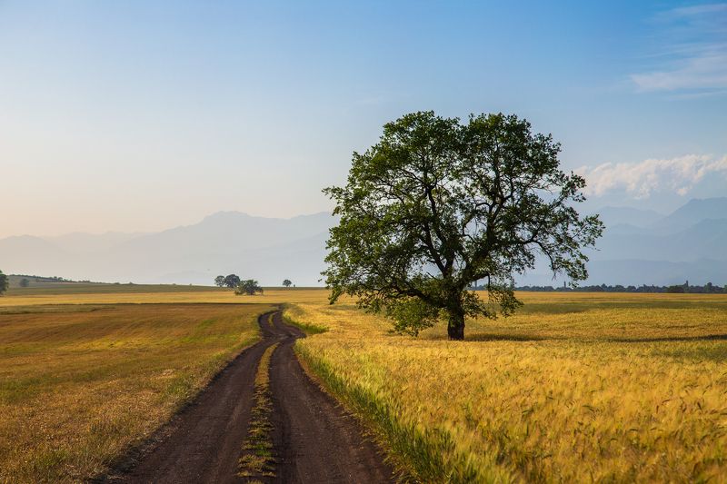 Теплый вечерphoto preview