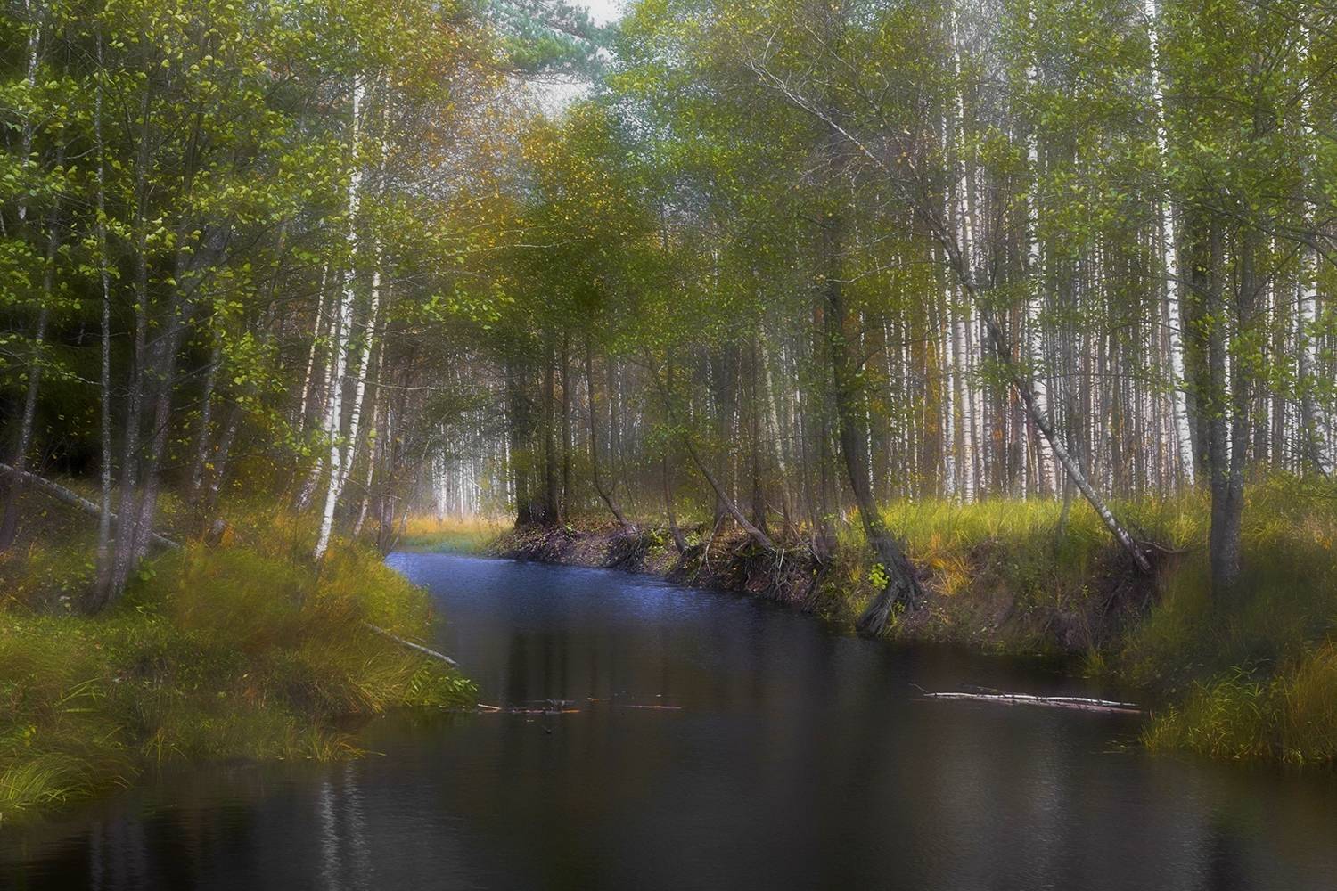 , Волоцков Александр