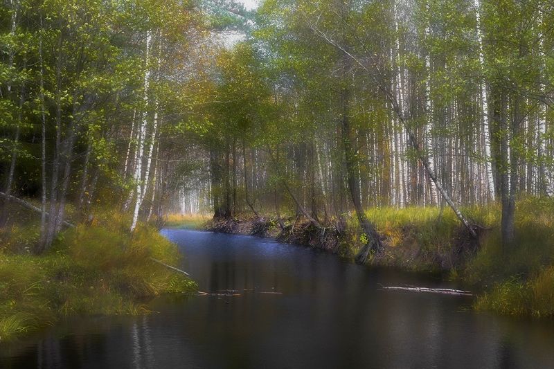 магия осениphoto preview