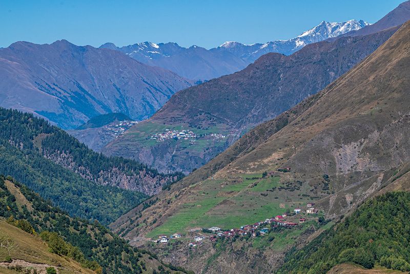 дагестан, тляратинский заказник Горные селенияphoto preview