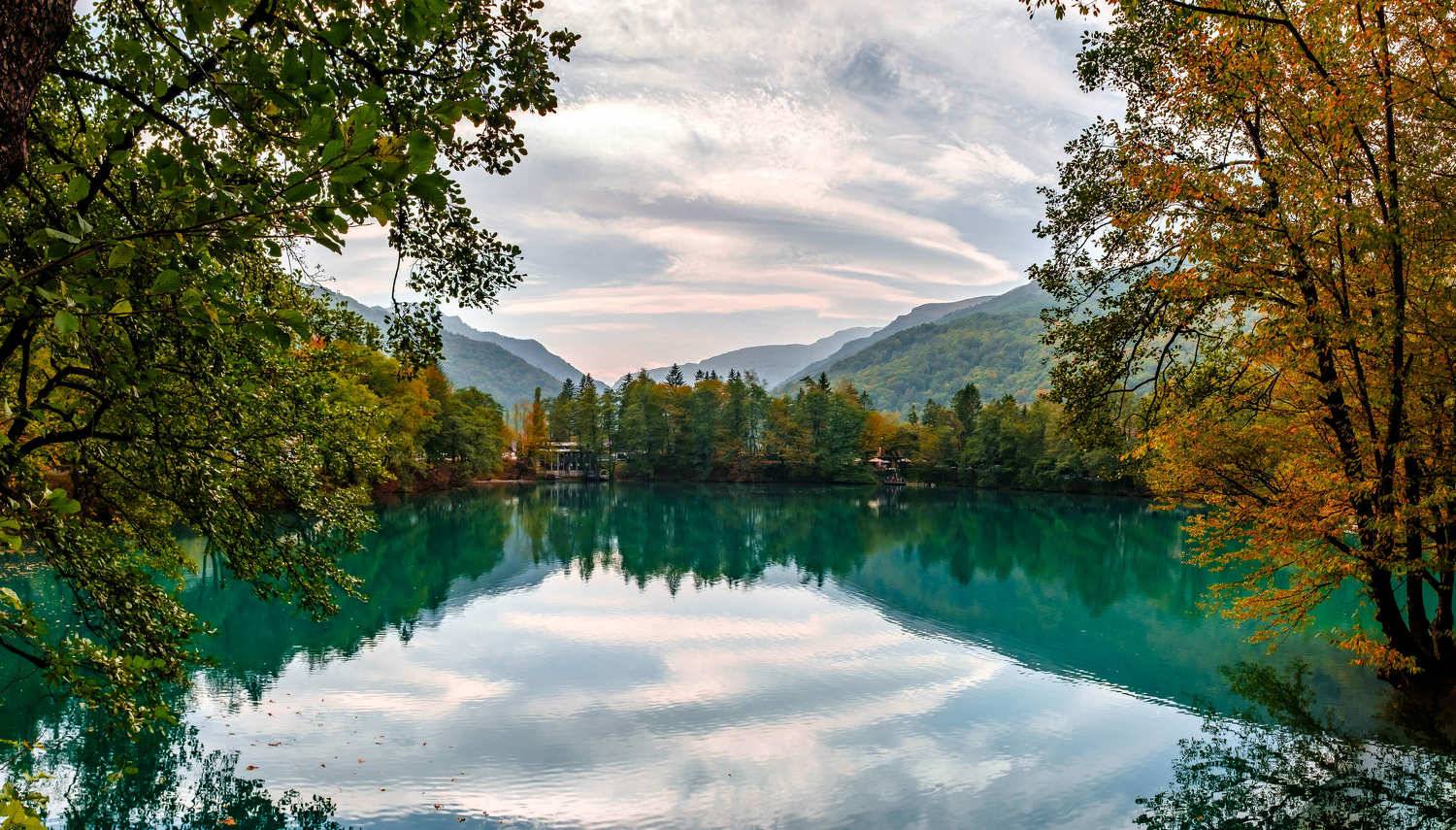 , Дмитрий Несветайлов