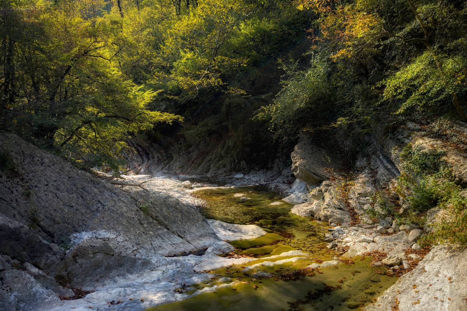 Автор: Сергей Тихомиров , Сергей Тихомиров