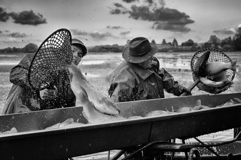 Fishing pondphoto preview