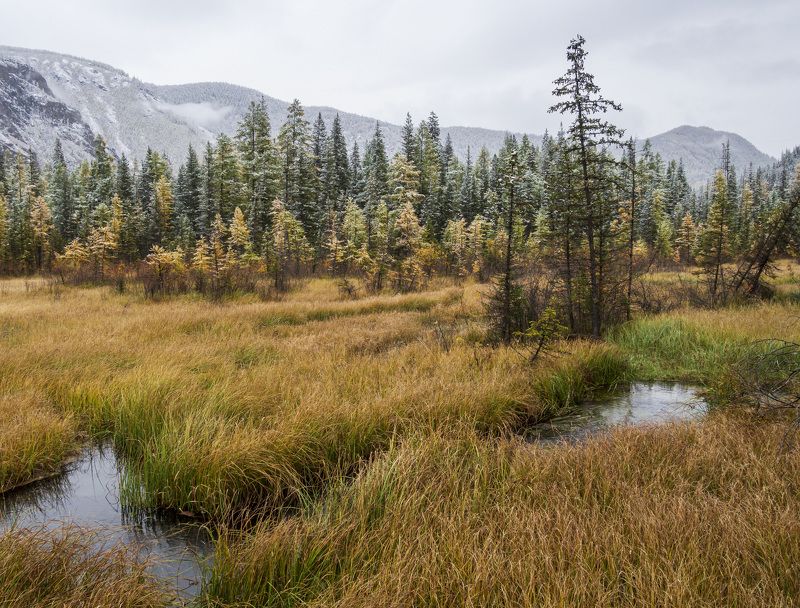 Алтайская осеньphoto preview