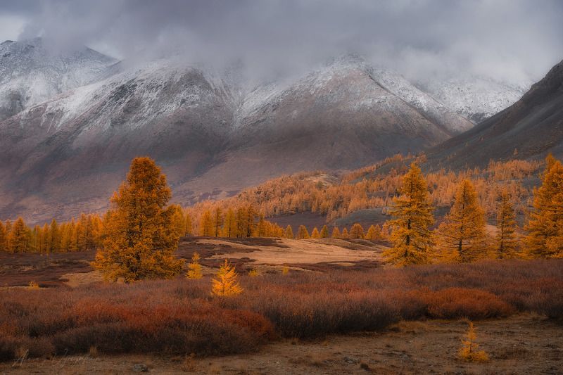 altay, autumn, red, yellow, landscape, mountains, landscape, outdoor, mood To let things gophoto preview
