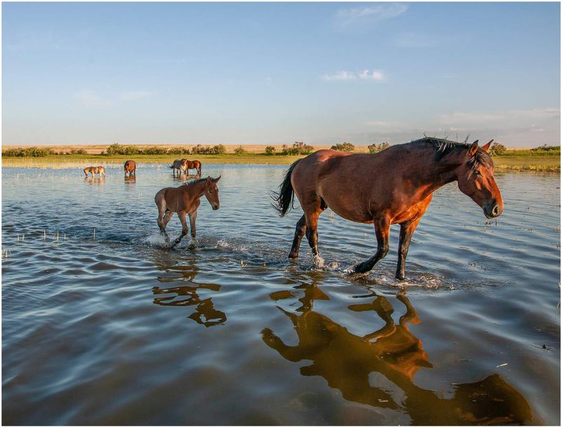 ЖАРКОЕ  ЛЕТОphoto preview