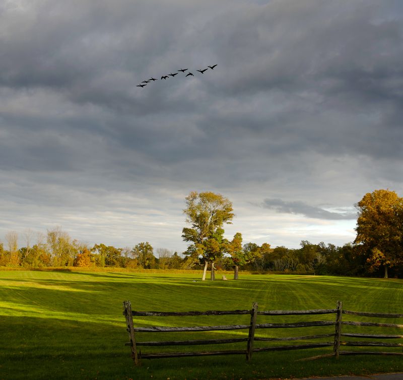 Perspective Love in Air Againphoto preview