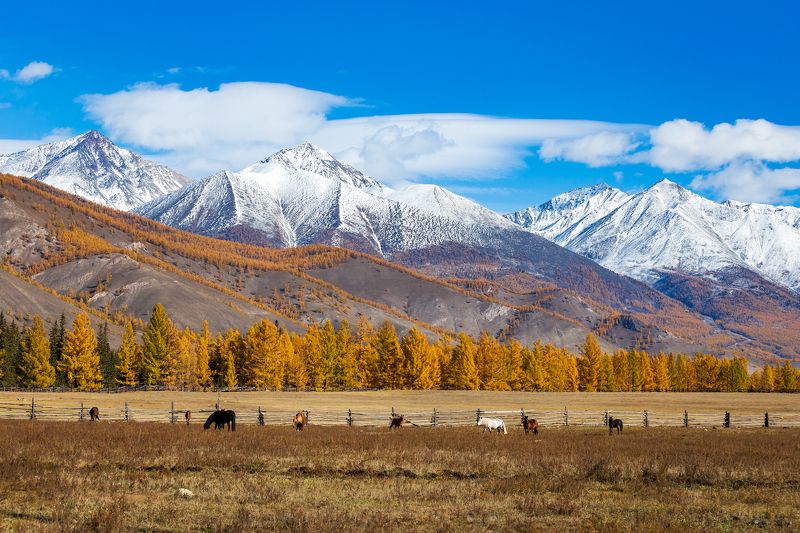 Саяны. Хребет Кропоткина.photo preview