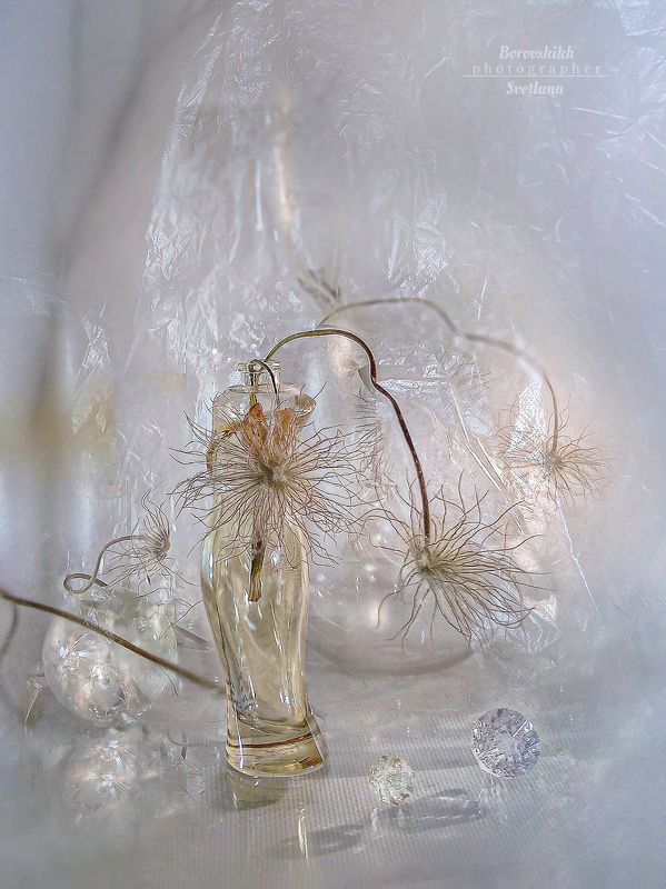 цветы, пушинки, стекло, плёнка, миниатюра, светлый ключ Прозрачные сны до весны... фото превью