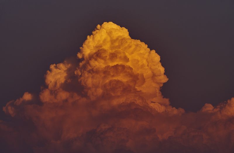 summer  Cotton Candyphoto preview