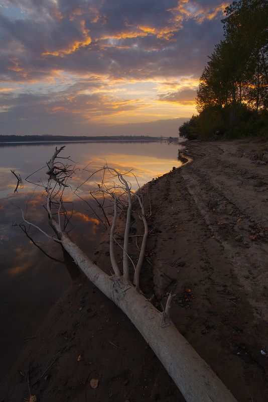 landscape, nature  фото превью