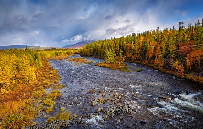 * * * фото превью