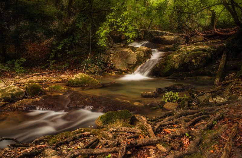 Крым, река, горы, лес, природа, деревья, пейзаж Река Улу-Узеньphoto preview