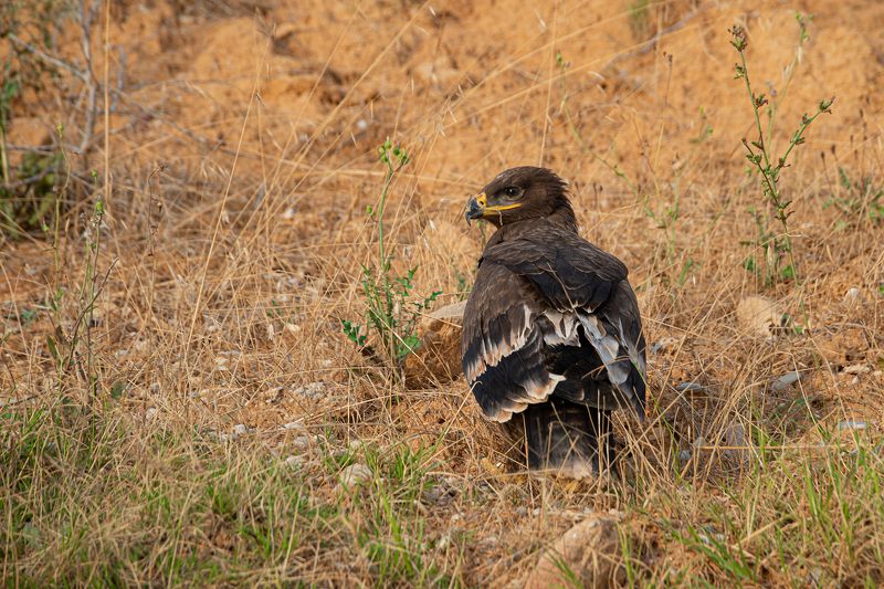 В пол оборота.photo preview