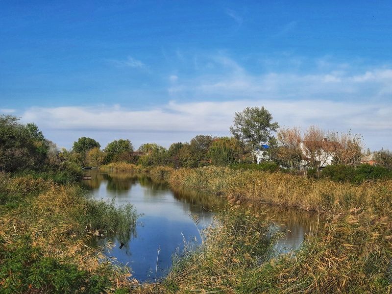 мобильное фото Осенний марафон.photo preview