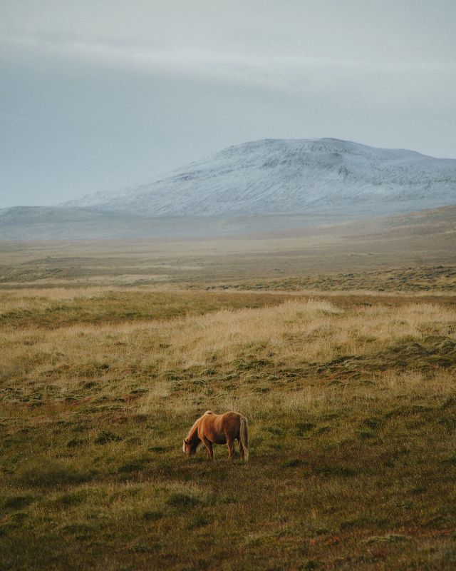 Iceland фото превью