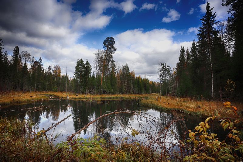 Осенняя пораphoto preview