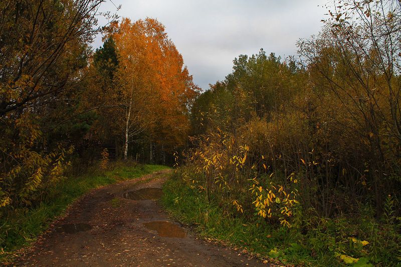 осень, сибирь, россия ..photo preview