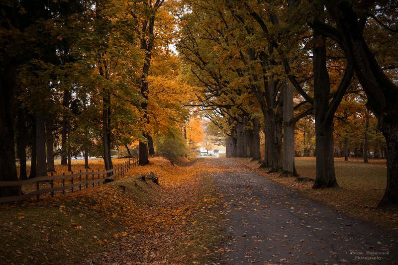 осенние, зарисовки................ Oсенние зарисовки................photo preview