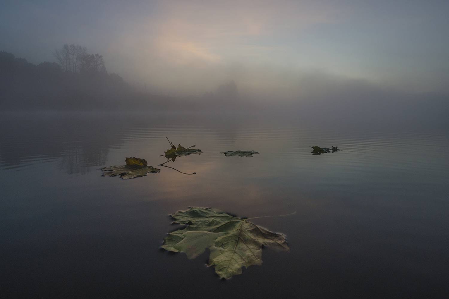 утро, рассвет, архангельское, Михаил Агеев