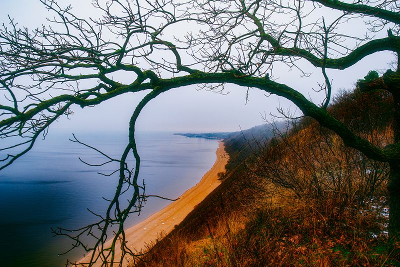 осень туман Утро, осень, Волга...photo preview