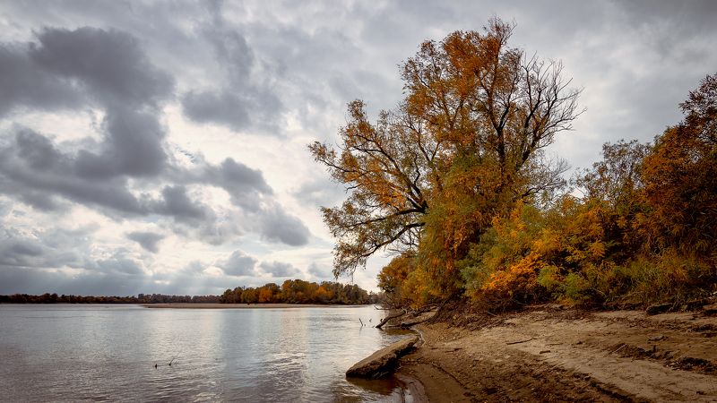 Убравшись золотом осеннимphoto preview