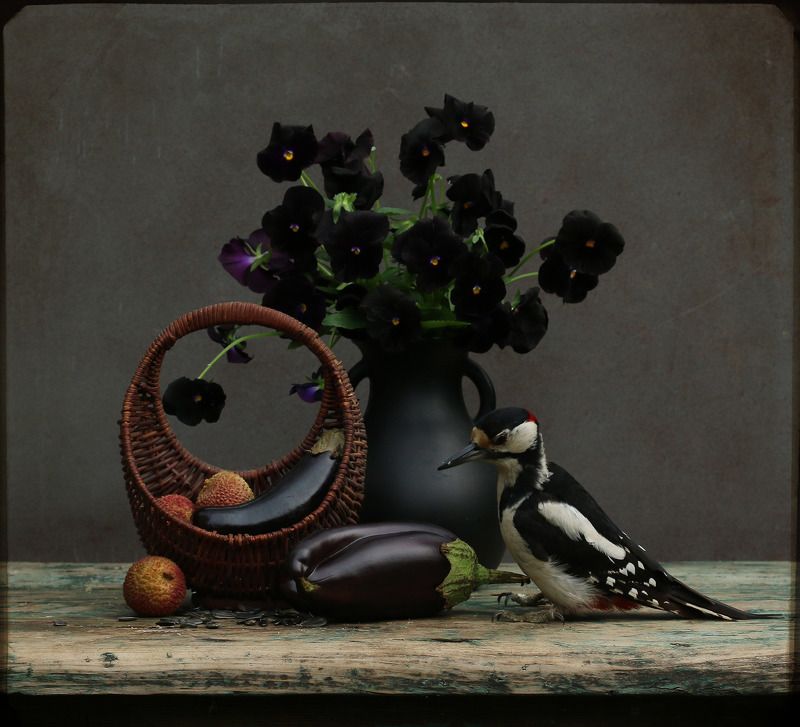 dendrocopos major С баклажанами 2photo preview