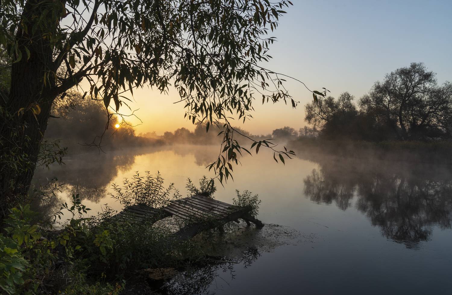 Автор: Дмитрий Новоселов , Дмитрий Новоселов