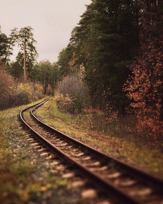 Дорога уходит в дальphoto preview