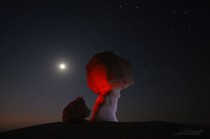 white desert. egypt Сhicken and mushroom.photo preview