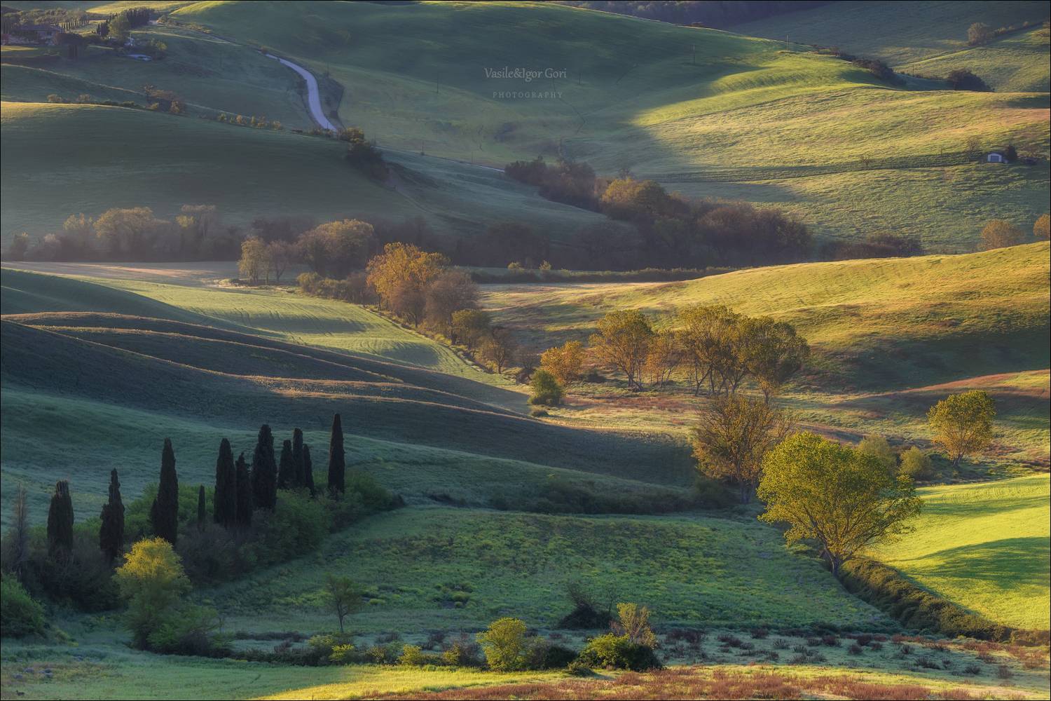 italy,san quirico d 'orcia,italia,тоскана,pienza,кипарисы,toscana,весна,tuscany,cipressi,belvedere,пьенца, Гори Василий