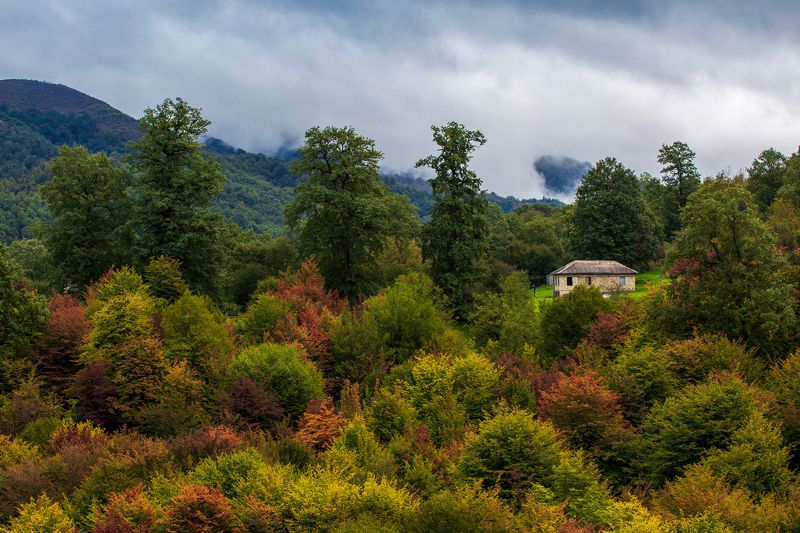 Осень в горахphoto preview